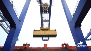 cotas de exportação