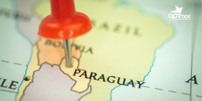 Lei Maquila Paraguai